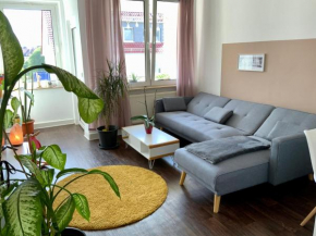 Gemütliche Wohnung in Kassel an der Karlsaue